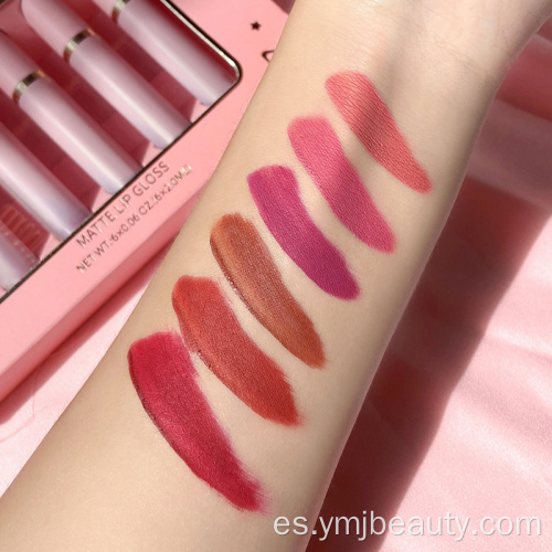 Lápiz labial rosa de 6 colores Juego de lápiz labial líquido dorado